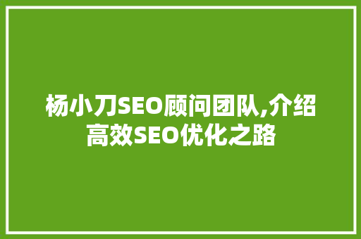 杨小刀SEO顾问团队,介绍高效SEO优化之路