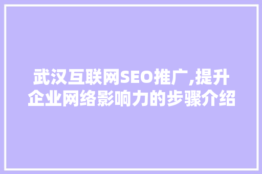 武汉互联网SEO推广,提升企业网络影响力的步骤介绍