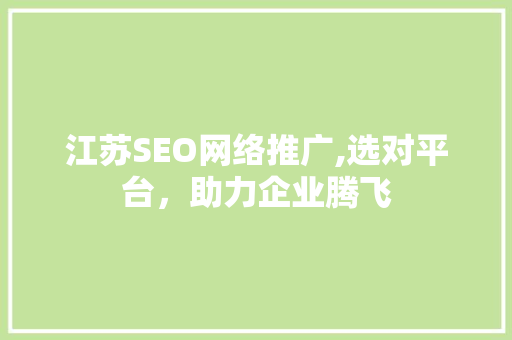江苏SEO网络推广,选对平台，助力企业腾飞