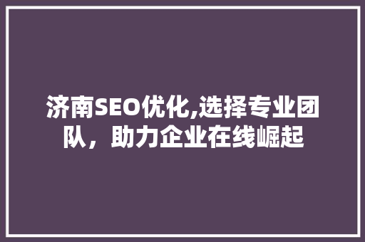 济南SEO优化,选择专业团队，助力企业在线崛起