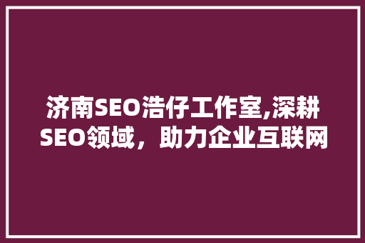 济南SEO浩仔工作室,深耕SEO领域，助力企业互联网营销新篇章