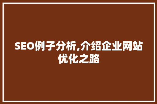 SEO例子分析,介绍企业网站优化之路