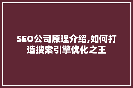 SEO公司原理介绍,如何打造搜索引擎优化之王