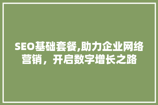 SEO基础套餐,助力企业网络营销，开启数字增长之路