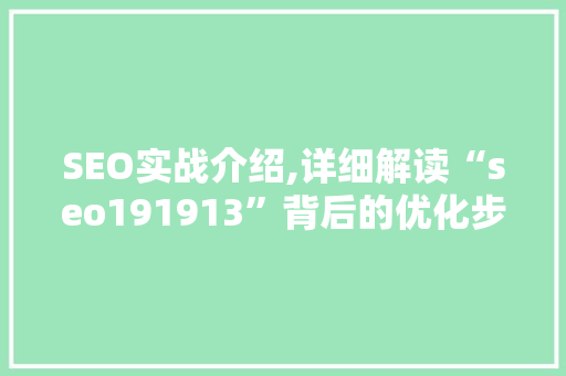 SEO实战介绍,详细解读“seo191913”背后的优化步骤