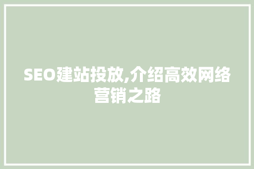 SEO建站投放,介绍高效网络营销之路