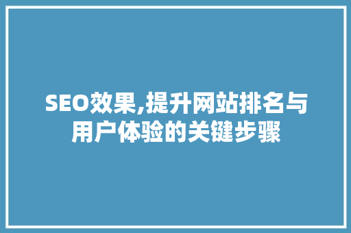 SEO效果,提升网站排名与用户体验的关键步骤