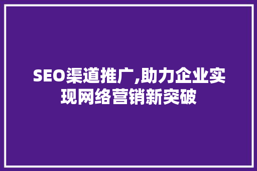 SEO渠道推广,助力企业实现网络营销新突破