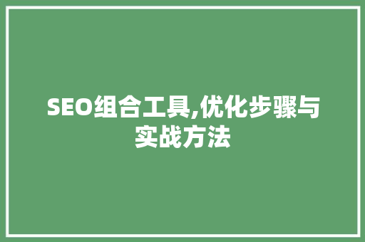 SEO组合工具,优化步骤与实战方法  第1张