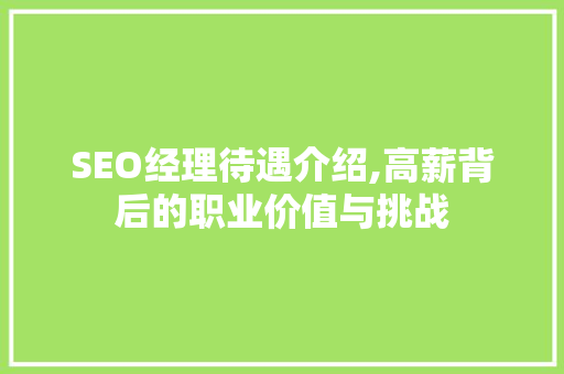 SEO经理待遇介绍,高薪背后的职业价值与挑战