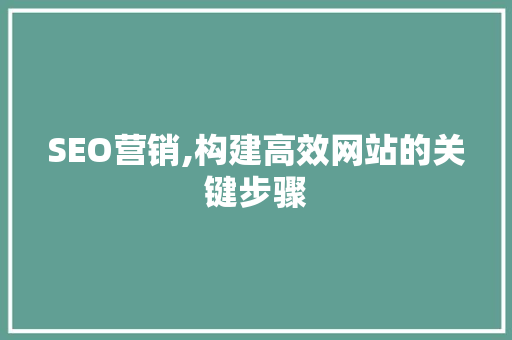 SEO营销,构建高效网站的关键步骤