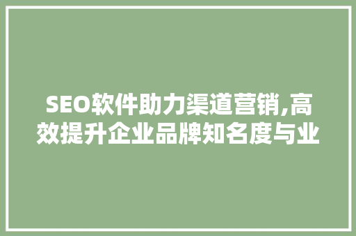 SEO软件助力渠道营销,高效提升企业品牌知名度与业绩