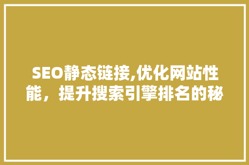 SEO静态链接,优化网站性能，提升搜索引擎排名的秘密武器