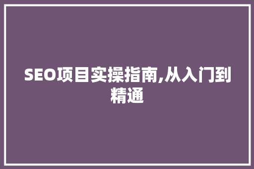 SEO项目实操指南,从入门到精通  第1张