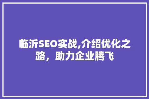 临沂SEO实战,介绍优化之路，助力企业腾飞