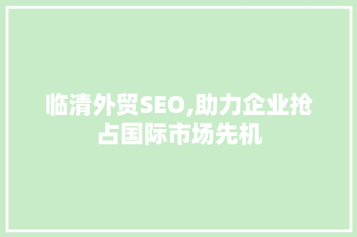 临清外贸SEO,助力企业抢占国际市场先机