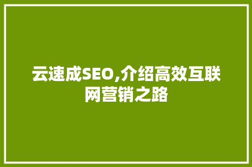 云速成SEO,介绍高效互联网营销之路
