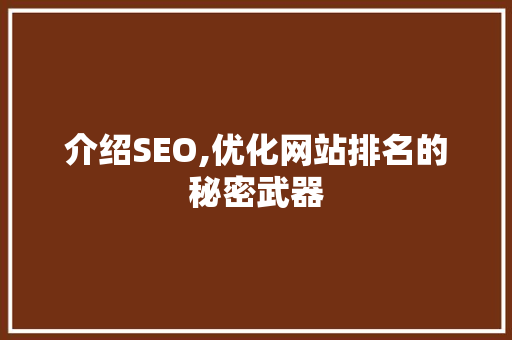 介绍SEO,优化网站排名的秘密武器