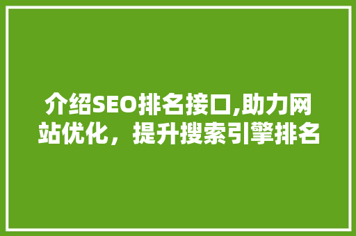 介绍SEO排名接口,助力网站优化，提升搜索引擎排名之路
