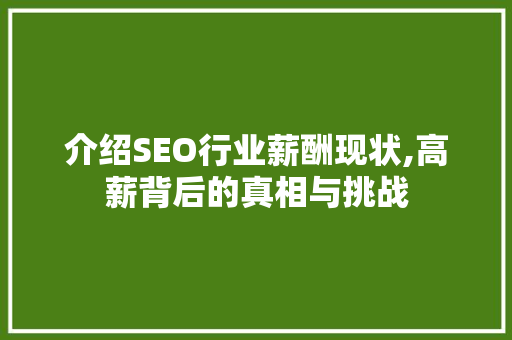 介绍SEO行业薪酬现状,高薪背后的真相与挑战