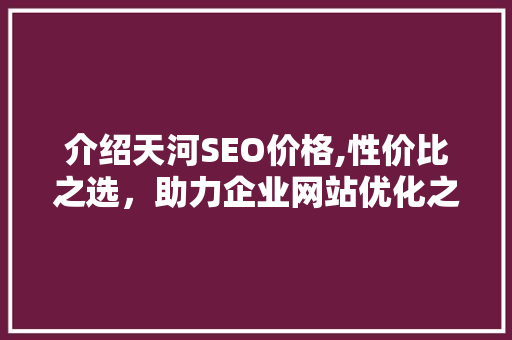 介绍天河SEO价格,性价比之选，助力企业网站优化之路