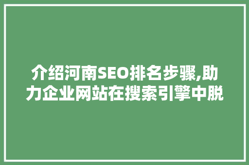 介绍河南SEO排名步骤,助力企业网站在搜索引擎中脱颖而出