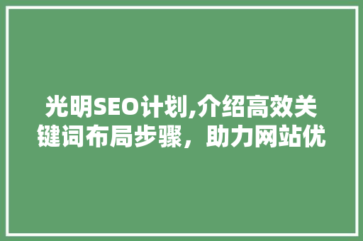 光明SEO计划,介绍高效关键词布局步骤，助力网站优化腾飞