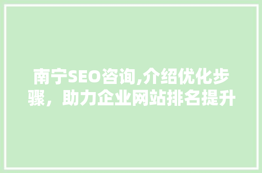 南宁SEO咨询,介绍优化步骤，助力企业网站排名提升