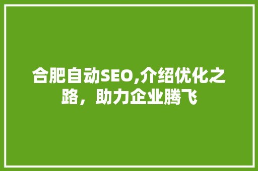 合肥自动SEO,介绍优化之路，助力企业腾飞