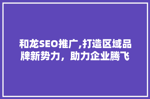 和龙SEO推广,打造区域品牌新势力，助力企业腾飞