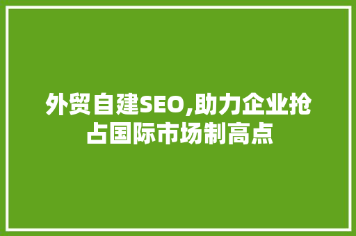 外贸自建SEO,助力企业抢占国际市场制高点