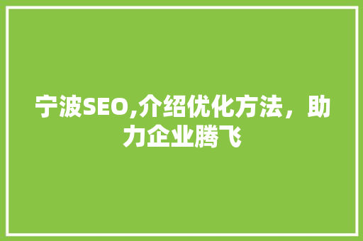 宁波SEO,介绍优化方法，助力企业腾飞