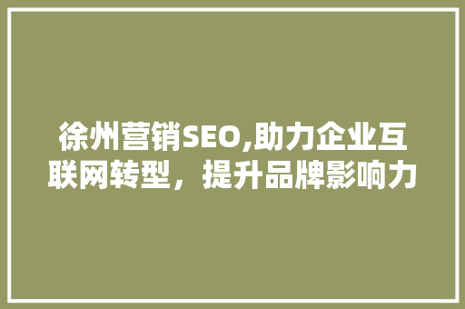 徐州营销SEO,助力企业互联网转型，提升品牌影响力