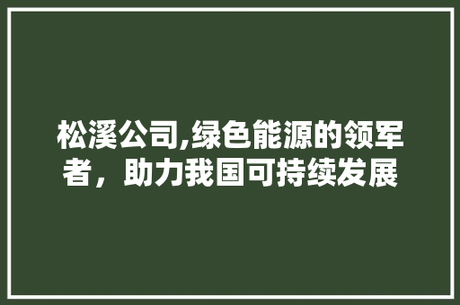 松溪公司,绿色能源的领军者，助力我国可持续发展