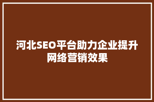 河北SEO平台助力企业提升网络营销效果