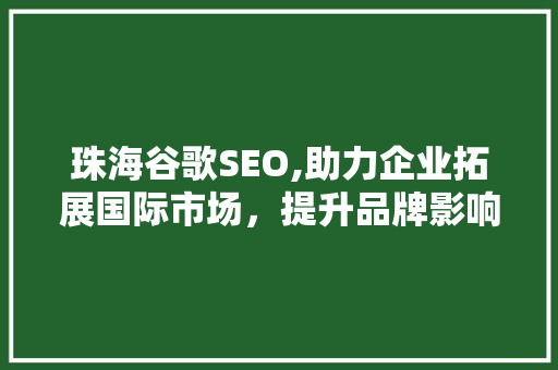 珠海谷歌SEO,助力企业拓展国际市场，提升品牌影响力