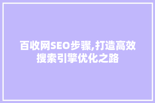百收网SEO步骤,打造高效搜索引擎优化之路