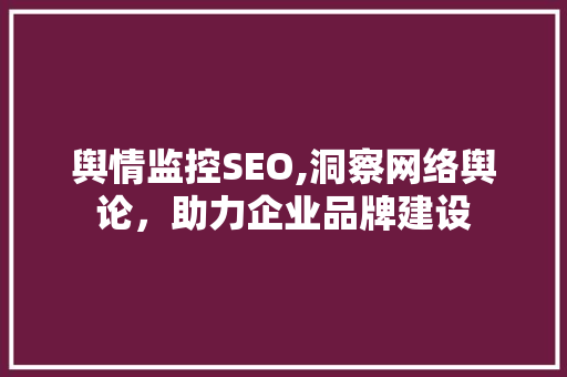 舆情监控SEO,洞察网络舆论，助力企业品牌建设