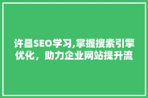 许昌SEO学习,掌握搜索引擎优化，助力企业网站提升流量
