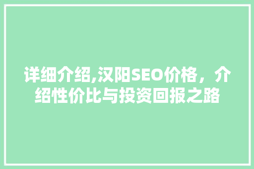 详细介绍,汉阳SEO价格，介绍性价比与投资回报之路