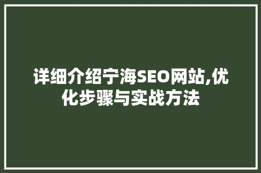 详细介绍宁海SEO网站,优化步骤与实战方法
