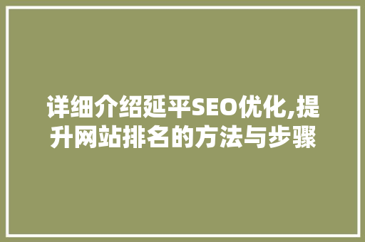 详细介绍延平SEO优化,提升网站排名的方法与步骤