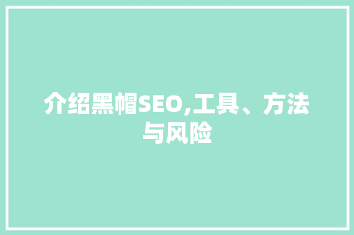 介绍黑帽SEO,工具、方法与风险