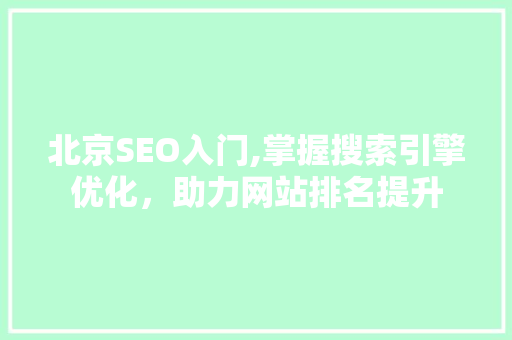 北京SEO入门,掌握搜索引擎优化，助力网站排名提升