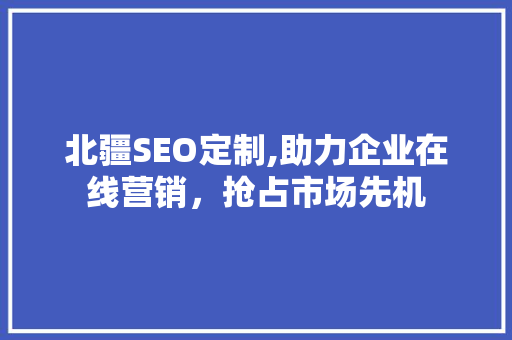 北疆SEO定制,助力企业在线营销，抢占市场先机