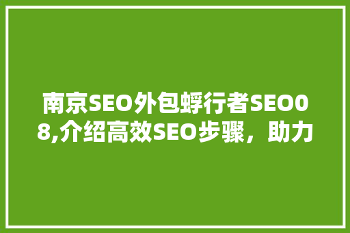 南京SEO外包蜉行者SEO08,介绍高效SEO步骤，助力企业提升在线竞争力