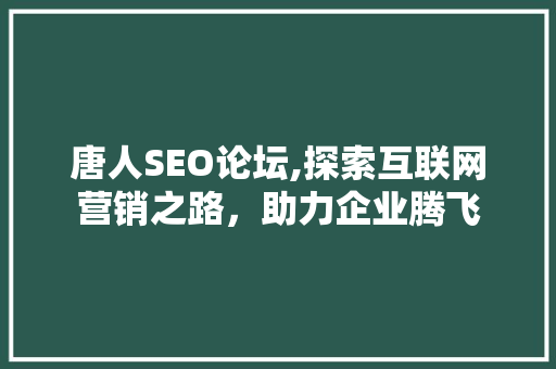 唐人SEO论坛,探索互联网营销之路，助力企业腾飞