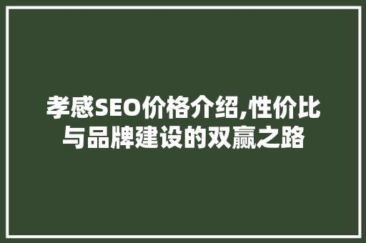 孝感SEO价格介绍,性价比与品牌建设的双赢之路