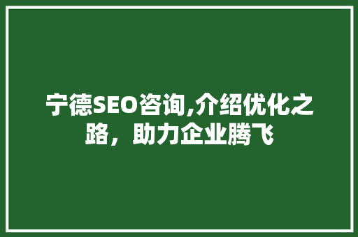 宁德SEO咨询,介绍优化之路，助力企业腾飞