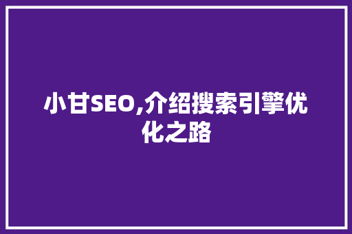 小甘SEO,介绍搜索引擎优化之路